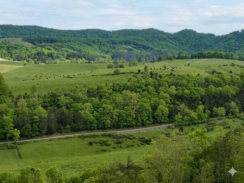 Vacant Land For Sale - 594 D Little Wolf Creek Rd<br/> Hinton, WV 25951