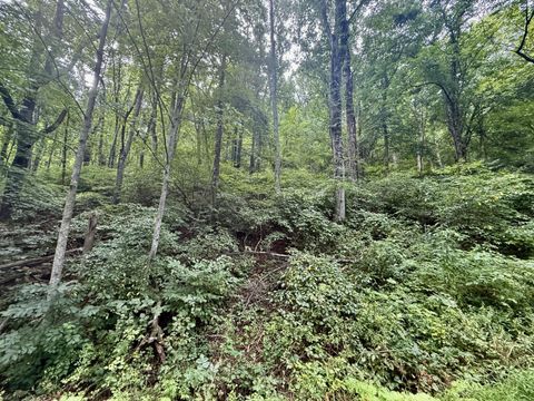Vacant Land For Sale - 63 Fairway View Dr<br/> Peterstown, WV 24963