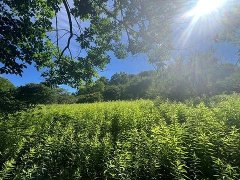 Vacant Land For Sale - 34 Hawthorne Valley<br/> Snowshoe, WV 26209