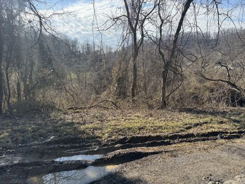 Vacant Land For Sale - 380 Frogs Creek Rd<br/> Kanawha County, Charleston, WV 25312