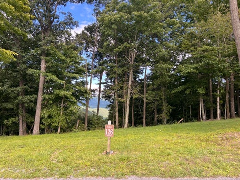 Vacant Land For Sale - LOT 126 Withrow Landing<br/> Caldwell, WV 24925