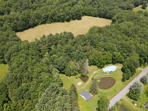 Vacant Land For Sale - 1295;1227 Fenwick Rd<br/> Greenbrier County, Richwood, WV 26261
