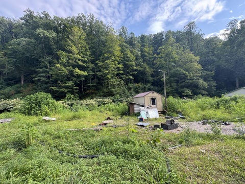 Vacant Land For Sale - 1668 Dry Branch Rd<br/> Belle, WV 25061