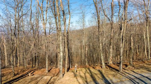 Vacant Land For Sale - LOT 153 Withrow Landing<br/> Caldwell, WV 24925