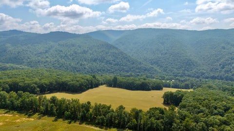 Vacant Land For Sale - 216 Bald Hills Farm Ln<br/> Greenbrier County, Lewisburg, WV 24901