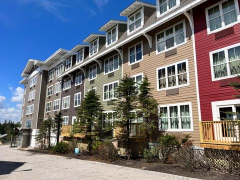 Homes For Sale - 316 Expedition Station<br/> Pocahontas County, Snowshoe, WV 26209