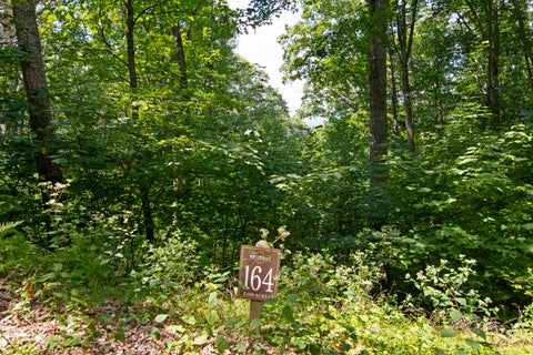 Vacant Land For Sale - LOT 164 Cottage Row<br/> Greenbrier County, Caldwell, WV 24925
