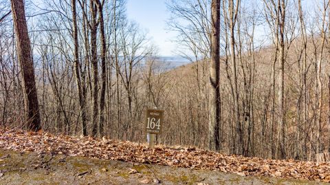 Vacant Land For Sale - LOT 164 Cottage Row<br/> Greenbrier County, Caldwell, WV 24925
