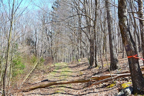 Vacant Land For Sale - 2245 Crowder Rd<br/> Gap Mills, WV 24941