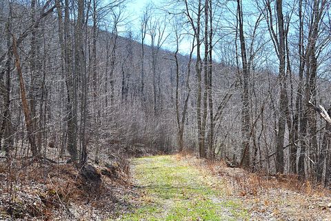 Vacant Land For Sale - 2245 Crowder Rd<br/> Monroe County, Gap Mills, WV 24941