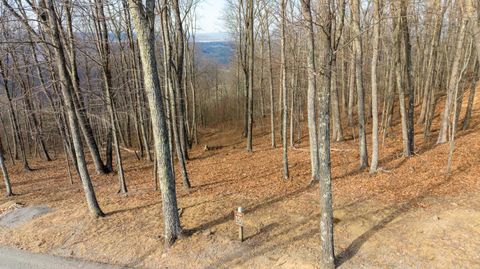Vacant Land For Sale - LOT 150 Withrow Landing<br/> Caldwell, WV 24925