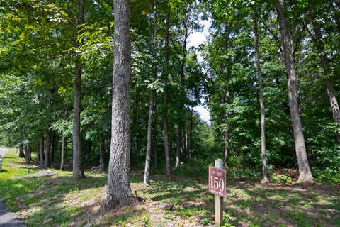 Vacant Land For Sale - LOT 150 Withrow Landing<br/> Greenbrier County, Caldwell, WV 24925
