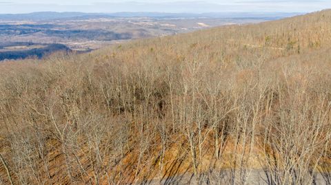 Vacant Land For Sale - LOT 19 Horizon Parkway<br/> Greenbrier County, Caldwell, WV 24925