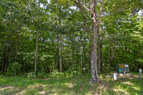 Vacant Land For Sale - LOT 19 Horizon Parkway<br/> Greenbrier County, Caldwell, WV 24925