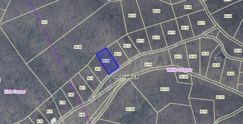 Vacant Land For Sale - Wildwood Ridge<br/> Greenbrier County, Caldwell, WV 24925