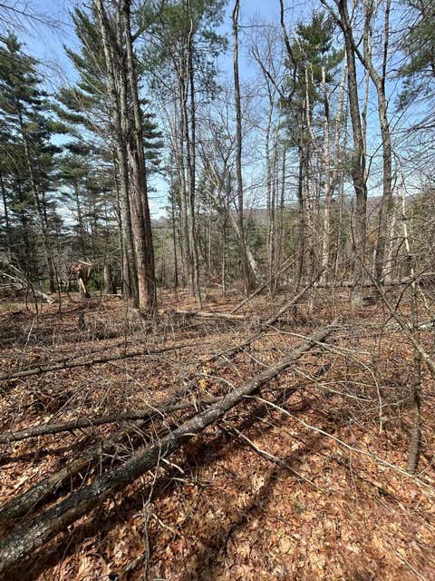 Vacant Land For Sale - S At Rt 8<br/> Gap Mills, WV 24941
