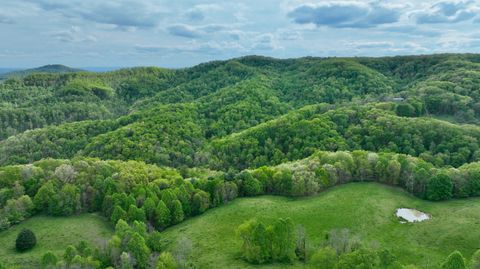 Vacant Land For Sale - Chestnut Flats<br/> Greenbrier County, Lewisburg, WV 24901