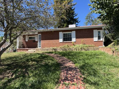 Homes For Sale - 914 Reynolds Ave<br/> Princeton, WV 24740