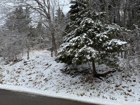 Vacant Land For Sale - 361 North West Ridge Rd<br/> Snowshoe, WV 26209