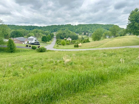 Vacant Land For Sale - TBD Fountain Springs Dr<br/> Peterstown, WV 24963