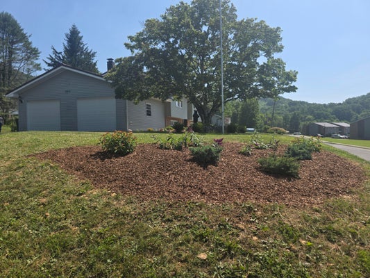 381 PENNSYLVANIA AVE, RAINELLE, WV 25962 - Image 55c1ceafc8a0e4c879dde0a8cba864d7/1776788914