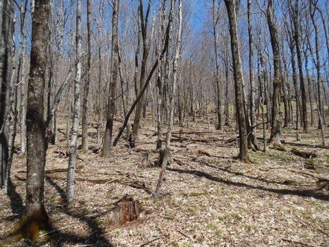 Vacant Land For Sale - 6185 Cass Road<br/> Slatyfork, WV 26291
