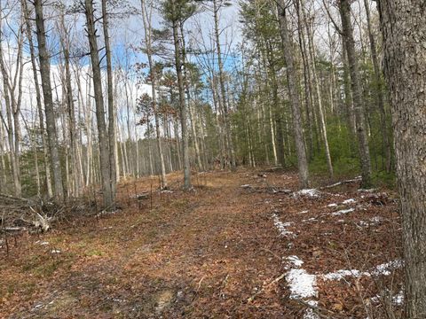 Vacant Land For Sale - RT 20 Pipestem Falls<br/> Pipestem, WV 25979