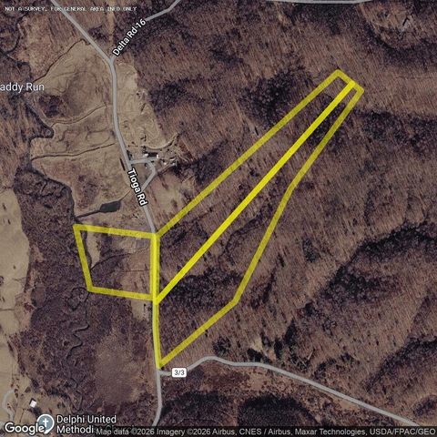 Vacant Land For Sale - 4042 Tioga Rd<br/> Nicholas County, Tioga, WV 26691