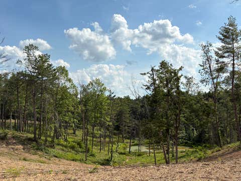 Vacant Land For Sale - Rt 20/ Gravely Pt<br/> Pipestem, WV 25979