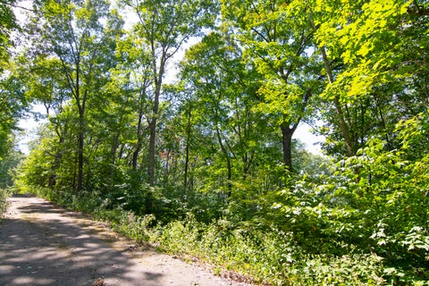 Vacant Land For Sale - LOT 166 Falls Parkway<br/> Caldwell, WV 24925