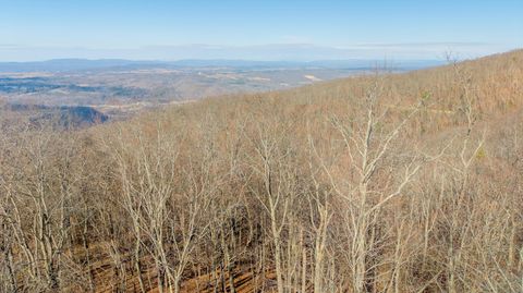 Vacant Land For Sale - LOT 166 Falls Parkway<br/> Caldwell, WV 24925