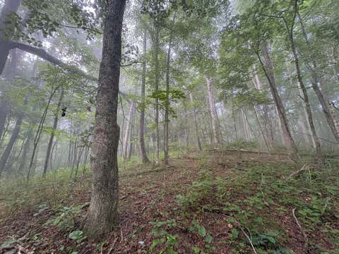 Vacant Land For Sale - Sewell Mt Rd/ King Cemetery Rd<br/> Sandstone, WV 24985
