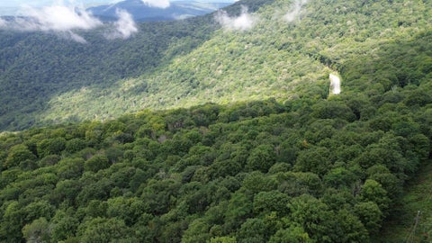 Vacant Land For Sale - 6183 Cass Road<br/> Slatyfork, WV 26291