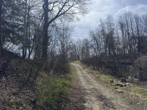 Vacant Land For Sale - 25 Osborne Ln<br/> Boone County, Seth, WV 25181