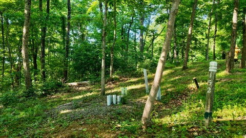 Vacant Land For Sale - Withrow Landing<br/> Caldwell, WV 24925