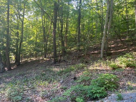 Vacant Land For Sale - 34 Wild Wood Ridge<br/> Caldwell, WV 24925