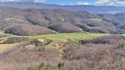 Vacant Land For Sale - 1054 Willow Bend Rd<br/> Lindside, WV 24951
