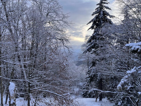 Vacant Land For Sale - 448 N Westridge Road<br/> Pocahontas County, Snowshoe, WV 26209