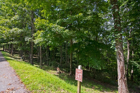 Vacant Land For Sale - LOT 147 Withrow Landing<br/> Greenbrier County, Caldwell, WV 24925