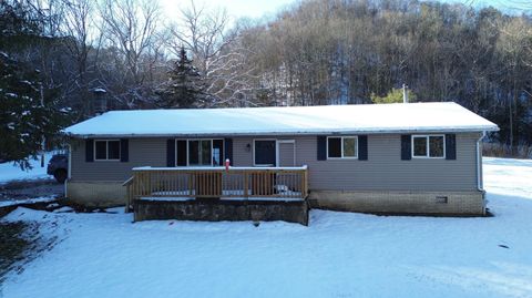 Vacant Land For Sale - 86 Carribean Ln<br/> Marlinton, WV 24954