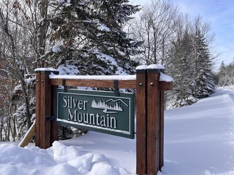 Vacant Land For Sale - 25 West Virginia Way<br/> Snowshoe, WV 26209