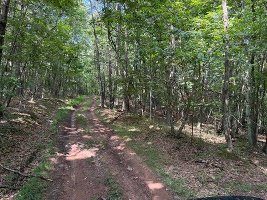 STONEHOUSE WOODS DR, LEWISBURG, WV 24901 - Image 9c36ba1acb56ee3b18557b784d2c4e50/1932467459