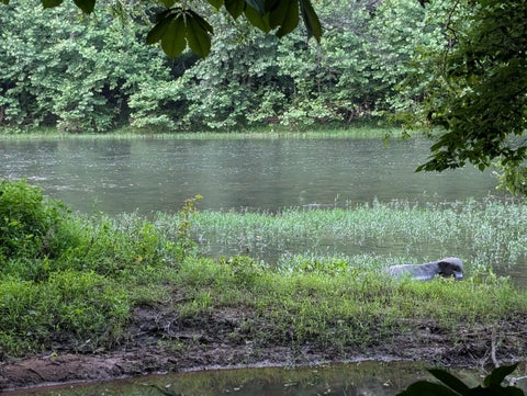 Vacant Land For Sale - TBD Keister Rd<br/> Lewisburg, WV 24901
