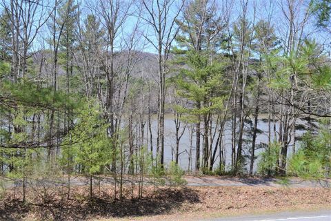 Vacant Land For Sale - Moncove Lake Rd<br/> Monroe County, Gap Mills, WV 24941