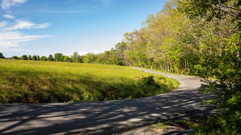 Vacant Land For Sale - Coleman Cliff<br/> Frankford, WV 24938