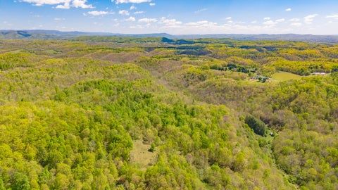 Vacant Land For Sale - 2465 Chestnut Flats Rd<br/> Lewisburg, WV 24901