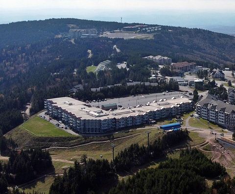 Homes For Sale - 182 Mountain Lodge<br/> Snowshoe, WV 26209