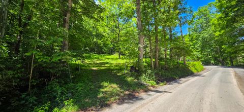 Vacant Land For Sale - Big Creek Rd<br/> Hinton, WV 25951