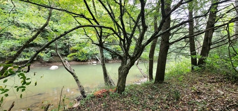 Vacant Land For Sale - 6095 W Midland Trl<br/> Charmco, WV 25958