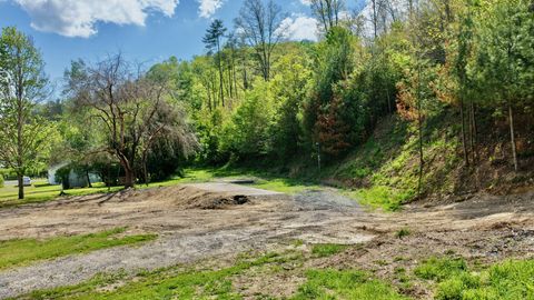 Vacant Land For Sale - 8991 Jones Mountain<br/> Union, WV 24983